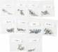 Part 21 Phantom 2 Vision Screw Pack