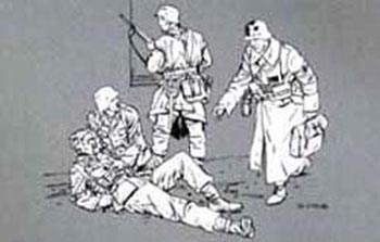 No Picture Available