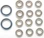 Bearing Set Evader EXT (14)