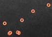 Shock O-Ring Mini Quake (8)