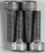 Skt Cap Screw 4.0mm X 14 (4)