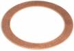 Head Shim .2mm (3) DPS 21
