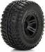 Fr/Re Tire Premount Blk Wheel (2) 1/10 Amp MT/DB