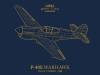 1/48 P-40R Warhawk Royal Class Edition