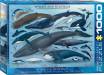 1000pc Puzzle Whales & Dolphins