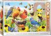 1000pc Puzzle Bird Paradise