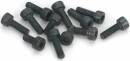 Screw Set Engine E61901 E61