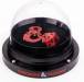 Dice Roller D&D Orb of Possibility