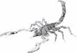 Metal Earth Scorpion