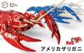 Biology Edition Crayfish (Red)