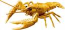 Biology Edition Crayfish (Gold)