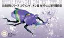 Evangelion Edition Beetle Type Unit-01