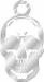 Skull Charm