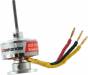 Brushless Motor P51 WBL1300 Weekender