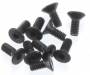 Flat Head Screw M2.5x6mm Hex Socket (10)