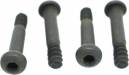 Step Screws M4x20mm (Hex Socket/4pcs)