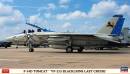 1/72 F-14D Tomcat 