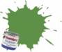 Enamel 14ml Clear Green