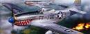 1/72 P-51D Mustang