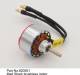Mad Shark Brushless Motor
