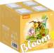 Insect & Plant Bee 668pcs