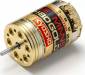 LE MANS 480 Gold Brushless Motor 21.5T