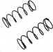 Big Bore Shock Springs (M/Gold/Medium) (2)