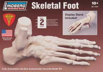 No Picture Available