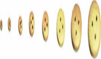 Click to Enlarge