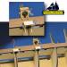 Hull Planking Clamp (6)