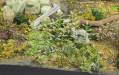 1/35 Plants & Weeds B