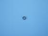 Spring Washers M3 (2)