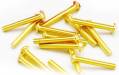 Button Head Gold Screws M3x20mm (10)