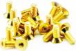 Flat Head Gold Screws M3x8mm (20)