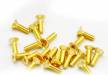 Flat Head Gold Screws M3x10mm (20)