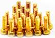 Cap Head Gold Screws M3x10mm (20)