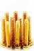 Cap Head Gold Screws M3x14mm (10)
