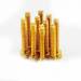 Cap Head Gold Screws M3x20mm (10)