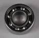 Ball Bearing Front 21-61