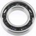 Crankshaft Brng Rear 21