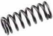 Valve Spring FS155A-P