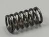 Valve Spring FS70 SII