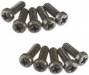 Rear Adap Screws 21TM