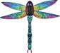 3-D Dragonfly Rainbow