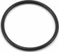 Samurai RM.1, RM, S03 & R03 Back Plate O-Ring