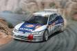Platz NuNu 1/24 Peugeot 306 MAXI 1996 Monte Carlo Rally
