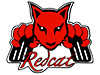 RED CAT RACING