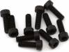 2.5x8mm Socket Head Screws (10)