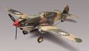 1/48 Tiger Shark P-40B