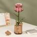 3D Wood Puzzle ROWOOD Pink Rose